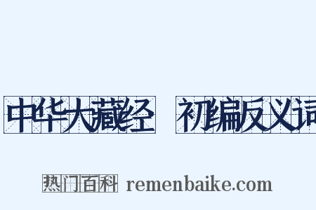 中华大藏经·初编反义词是什么意思的图片